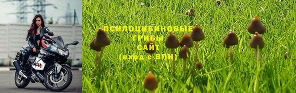 apvp Балахна