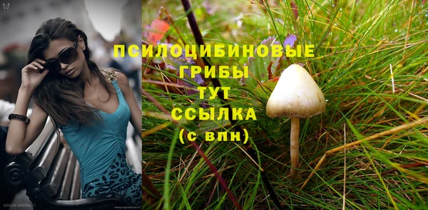 apvp Балахна