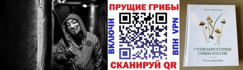 kraken ТОР Спасск-Дальний Галлюциногенные грибы мицелий